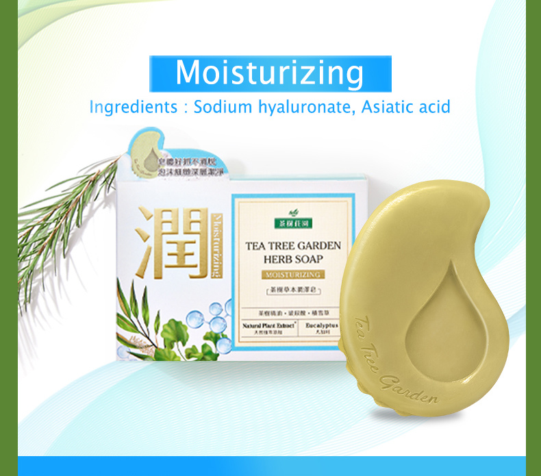 Farcent Tea Tree Garden Herb Soap-6